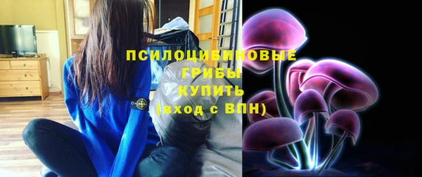 амф Алексин