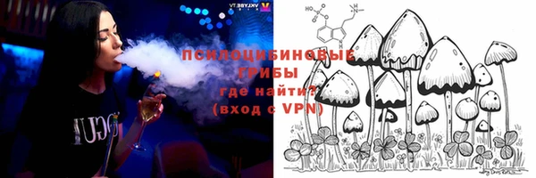 спиды Алексеевка