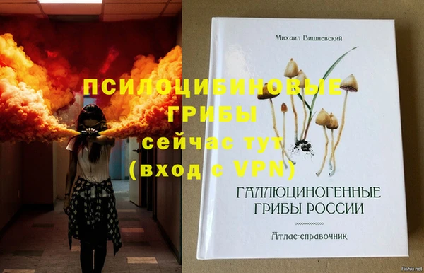 спиды Алексеевка