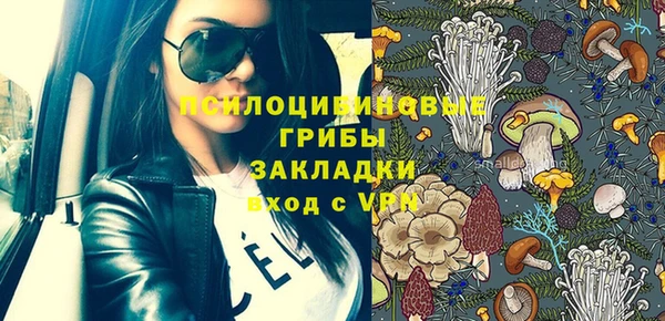спиды Алексеевка