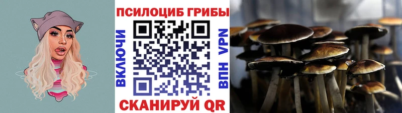 где купить наркоту  Южно-Сахалинск  Псилоцибиновые грибы мухоморы 